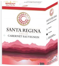 Rượu Vang santa regina Cabernet sauvignon