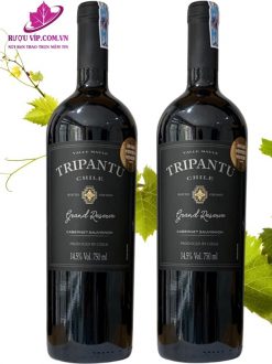 rượu vang Tripantu Grand Reserva