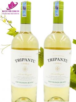 Rượu vang Tripantu Sauvignon Blanc