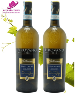 Rượu vang Pirovano Pinot